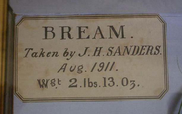 Bream20label[1].jpg